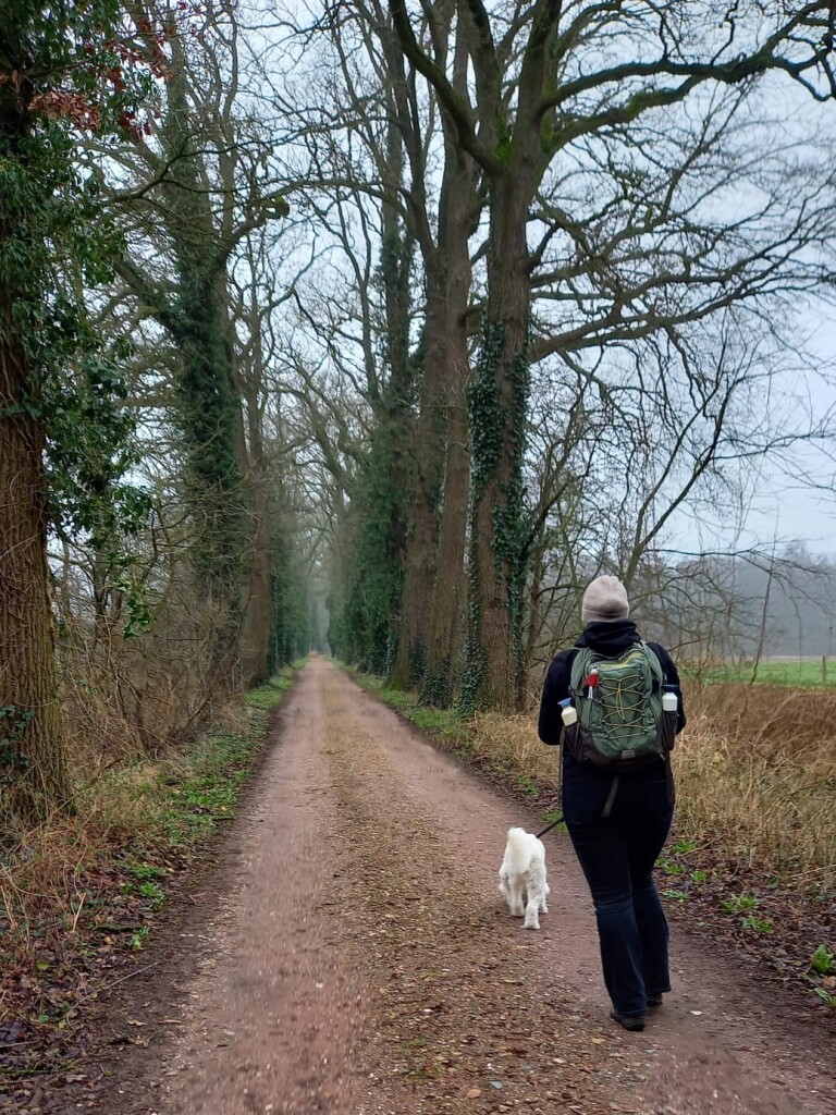 Borculo (busstation) - Mariënvelde · Graafschapspad etappe 3