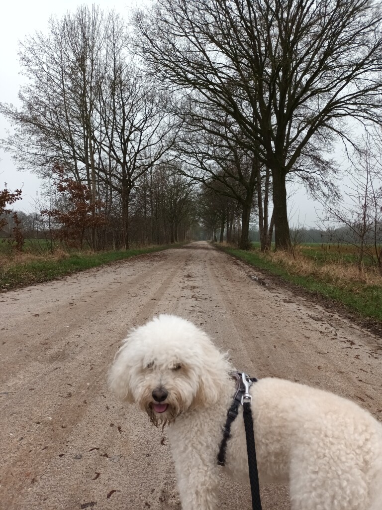 Borculo (busstation) - Mariënvelde · Graafschapspad etappe 3