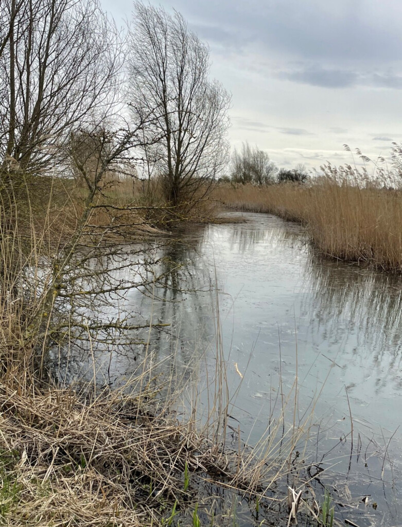Wandelroute Rijnstrangenpad