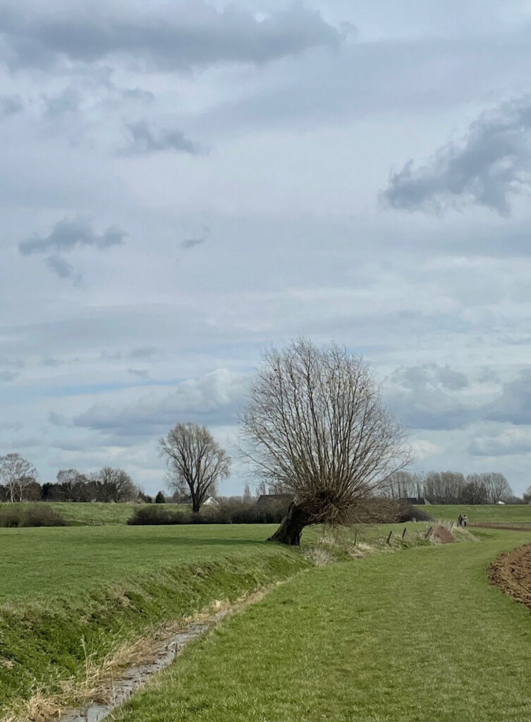 Wandelroute Rijnstrangenpad