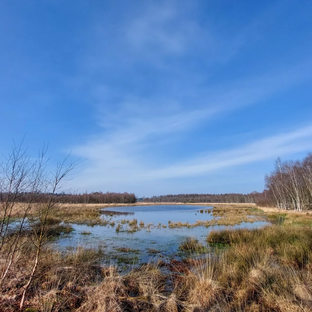 Oosterhesselen - Nieuw Balinge · Drenthepad etappe 16