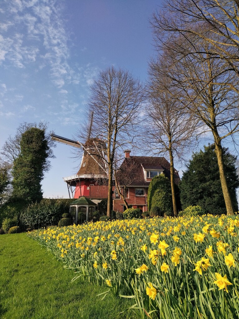 Iezumasyl - Dokkum Diepswal · Friese Woudenpad etappe 2