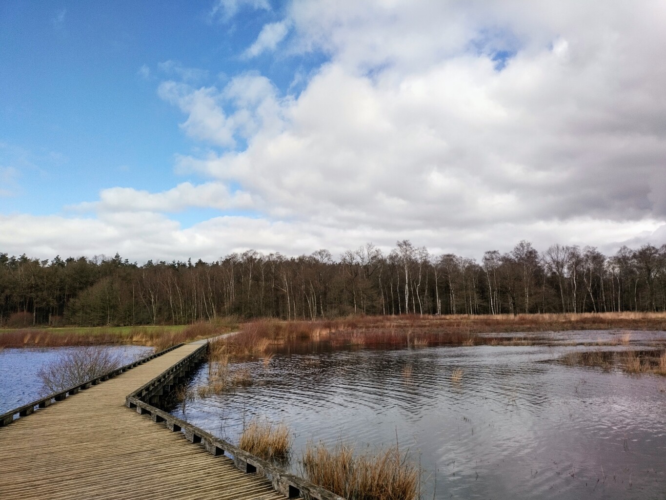 Spier - Dwingelderveld · De Ster van Dwingeloo etappe 4