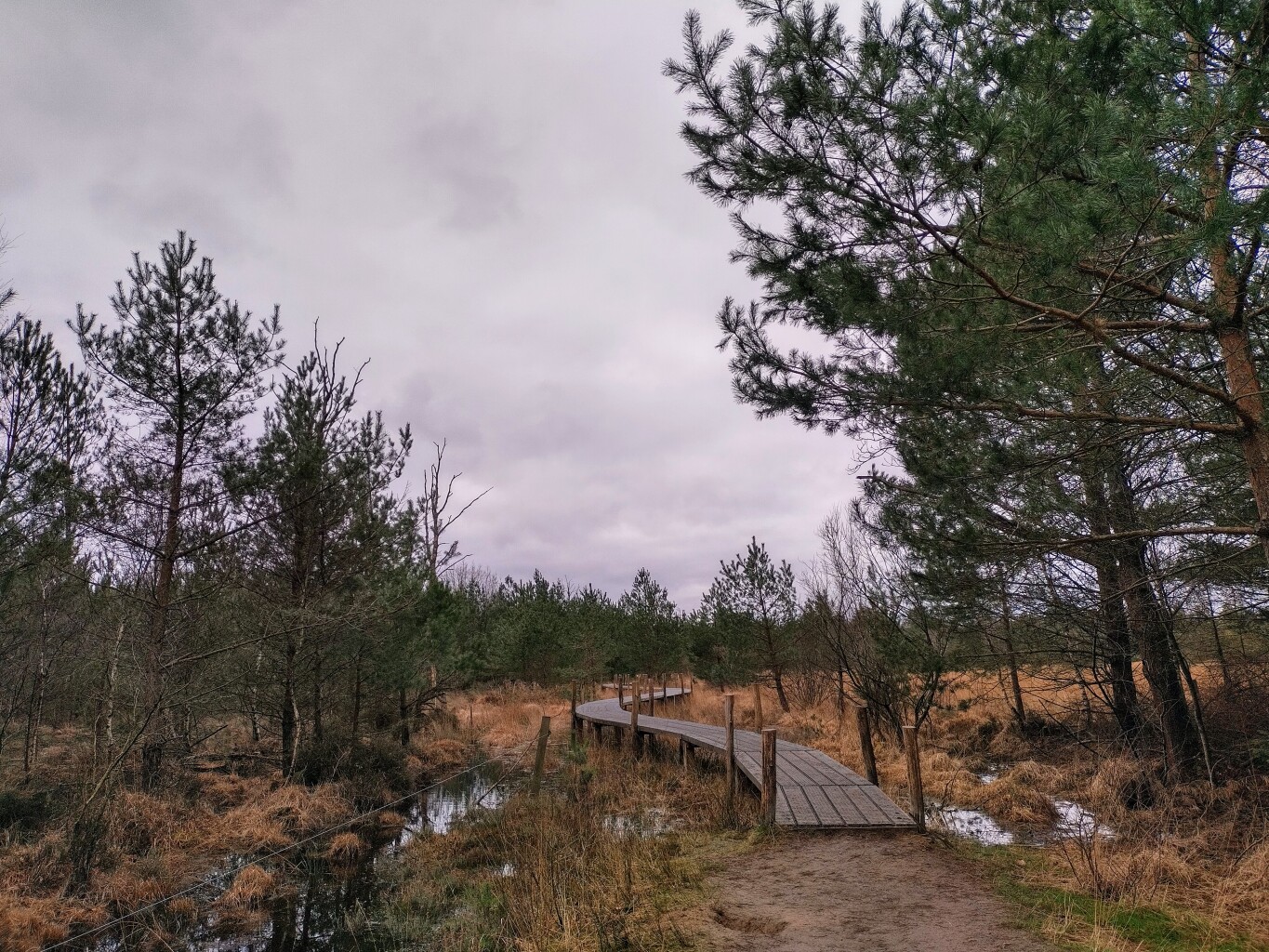 Spier - Dwingelderveld · De Ster van Dwingeloo etappe 4