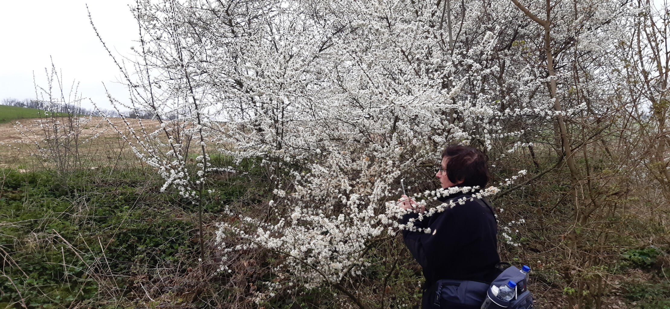 Eijsden-Margraten E8 Bloesemroute 3