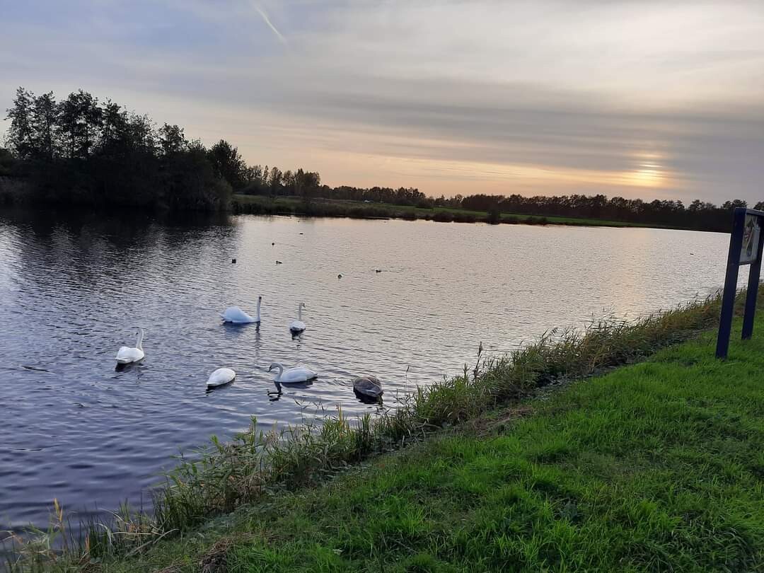 Raamsdonk - Drunen · Zuiderwaterliniepad etappe 8