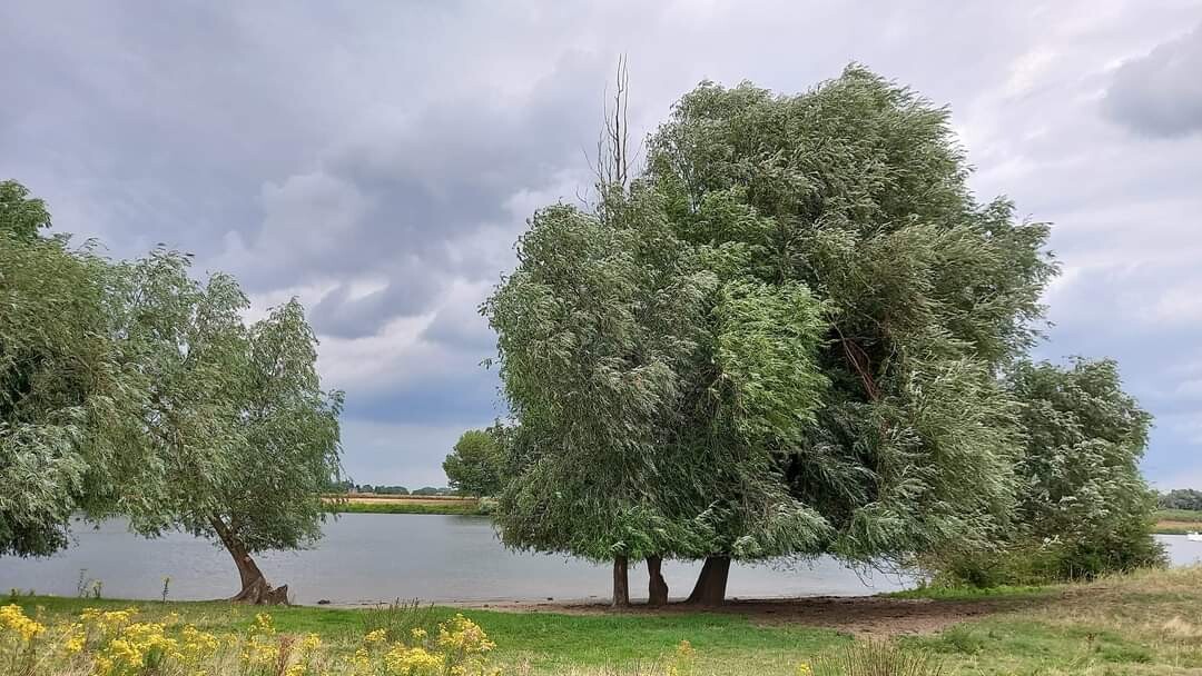 Vlijmen - Lith · Zuiderwaterliniepad etappe 10