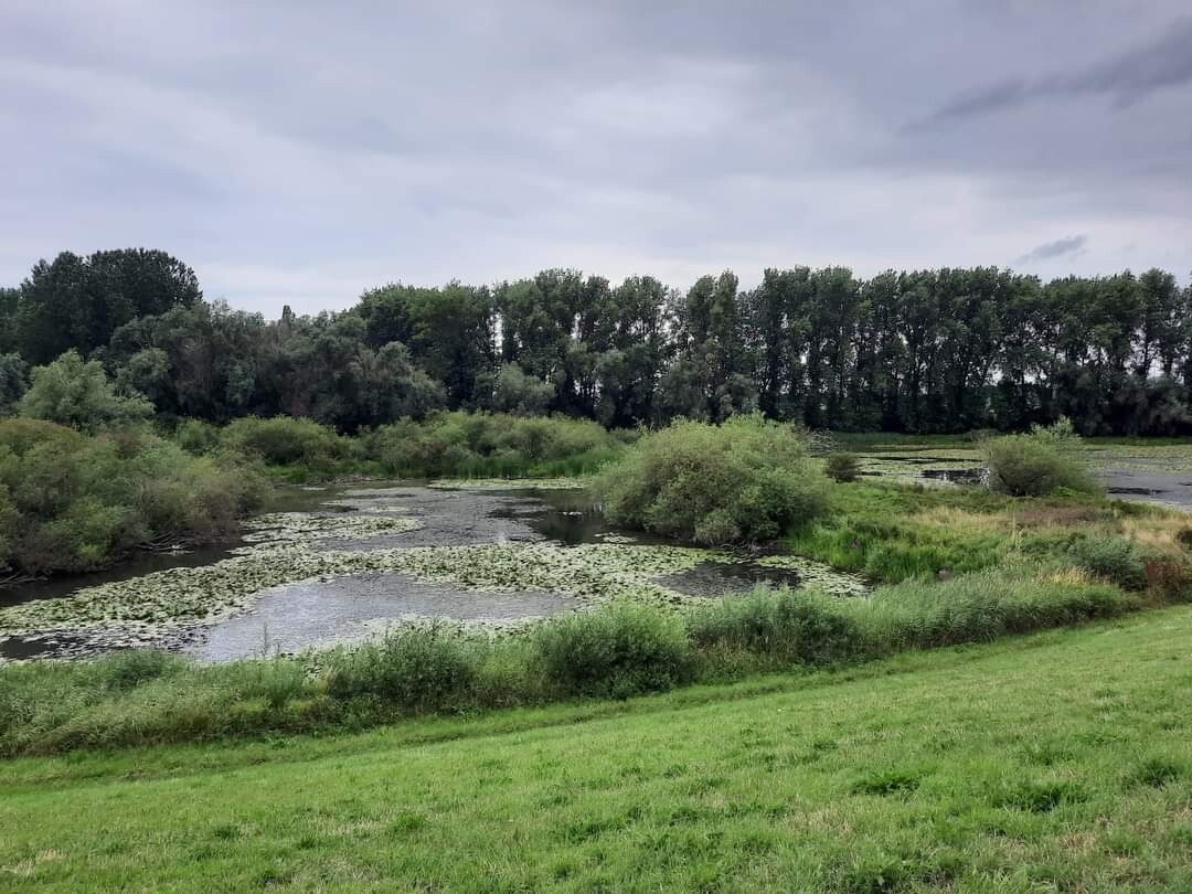 Vlijmen - Lith · Zuiderwaterliniepad etappe 10