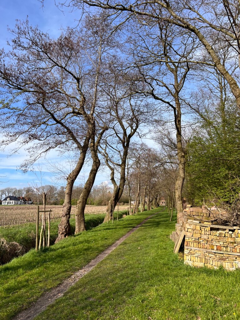 Wijckel - Moenia Perlae · St. Odulphuspad etappe 6