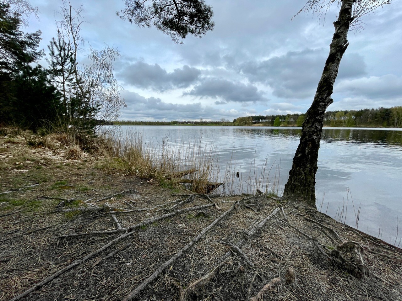 Blauwe Kei - De Maat oranje