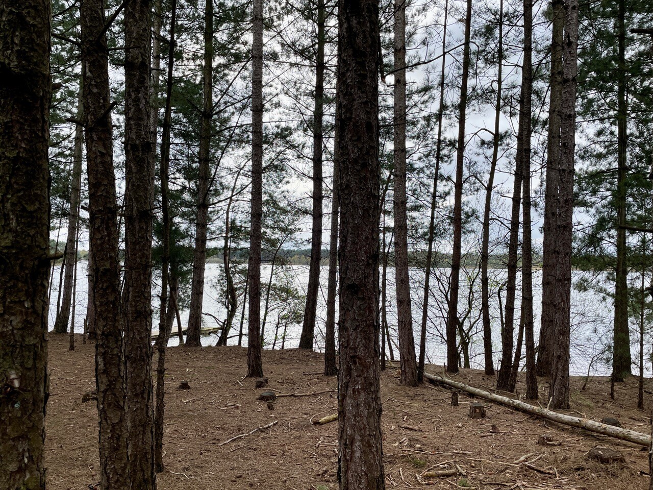 Blauwe Kei - De Maat oranje