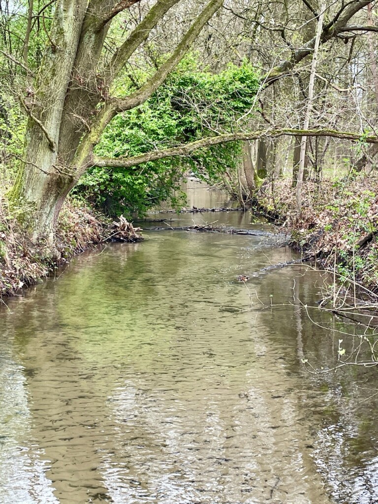 Blauwe Kei - De Maat oranje