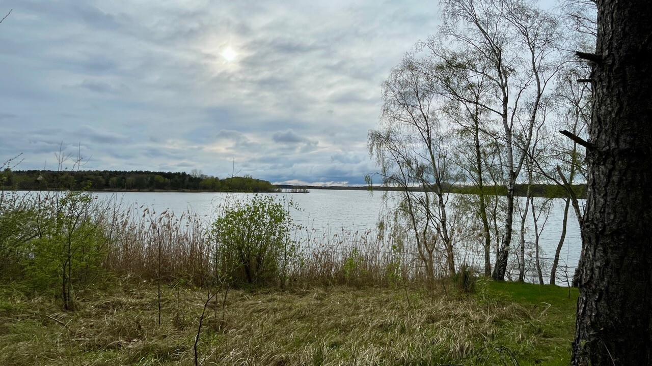 Blauwe Kei - De Maat oranje