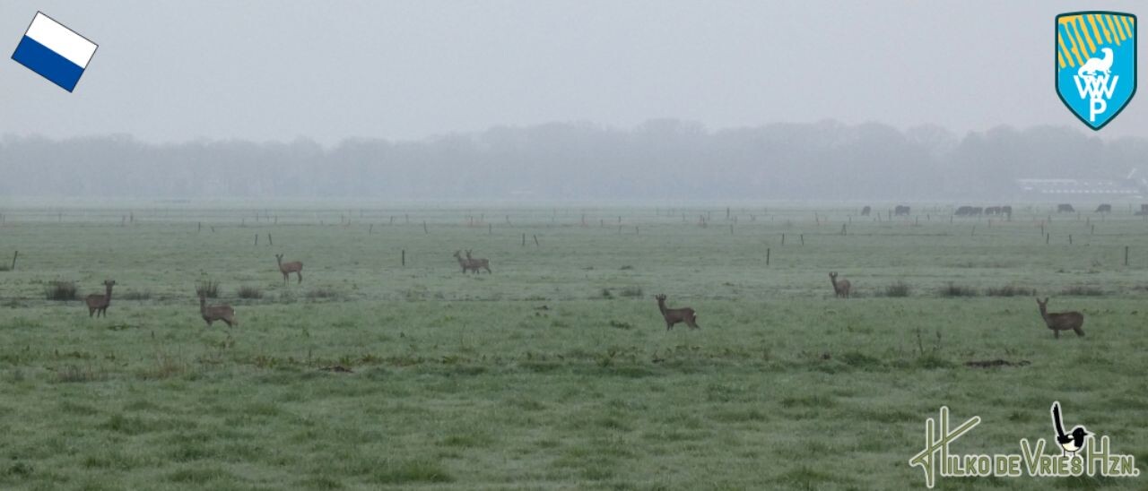 Weerribben wiedenpad