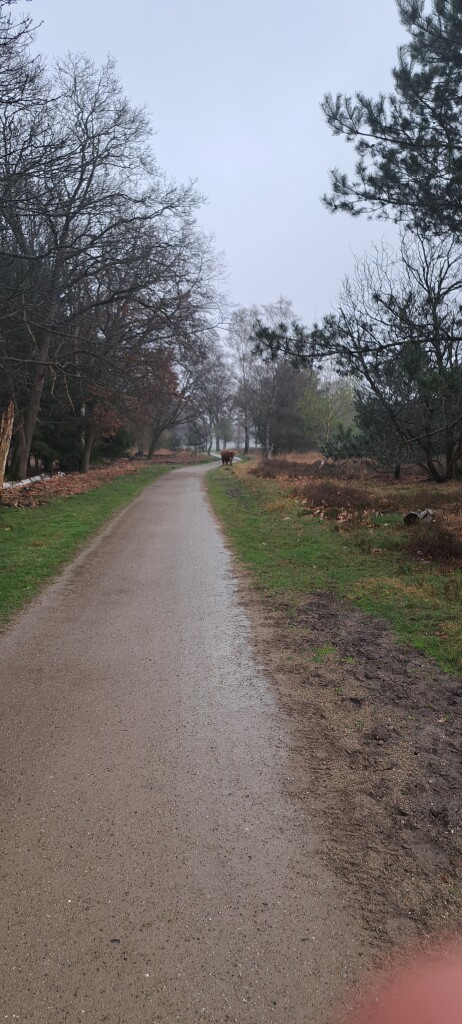Boswachterspad Bos en Heide
