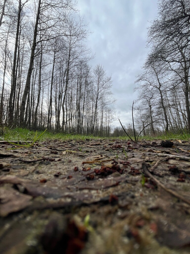 Gasteren Storytrails