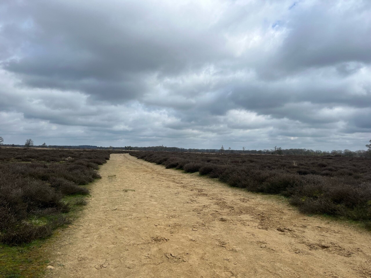 Gasteren Storytrails