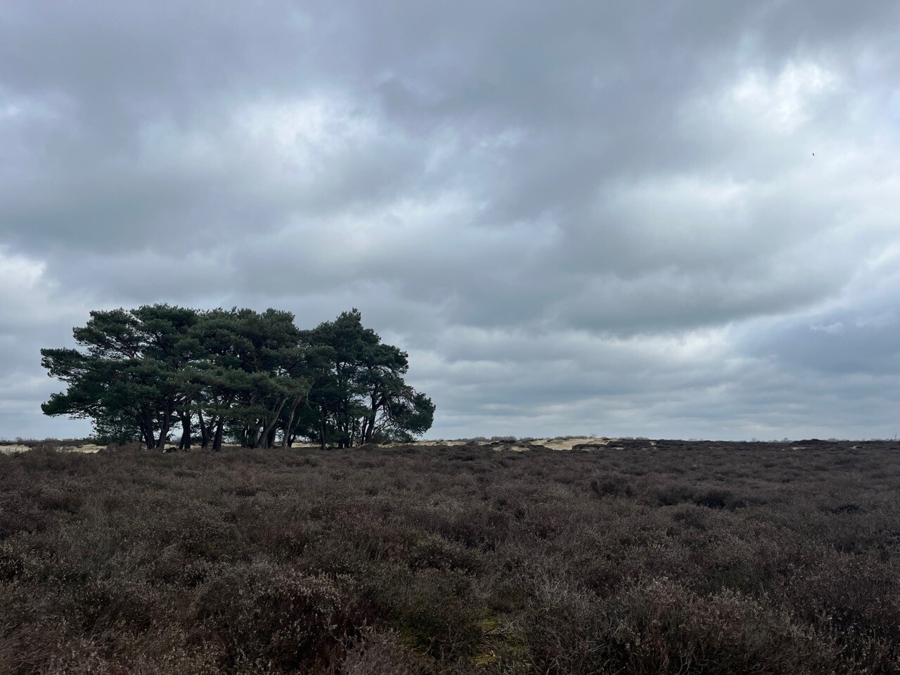 Gasteren Storytrails