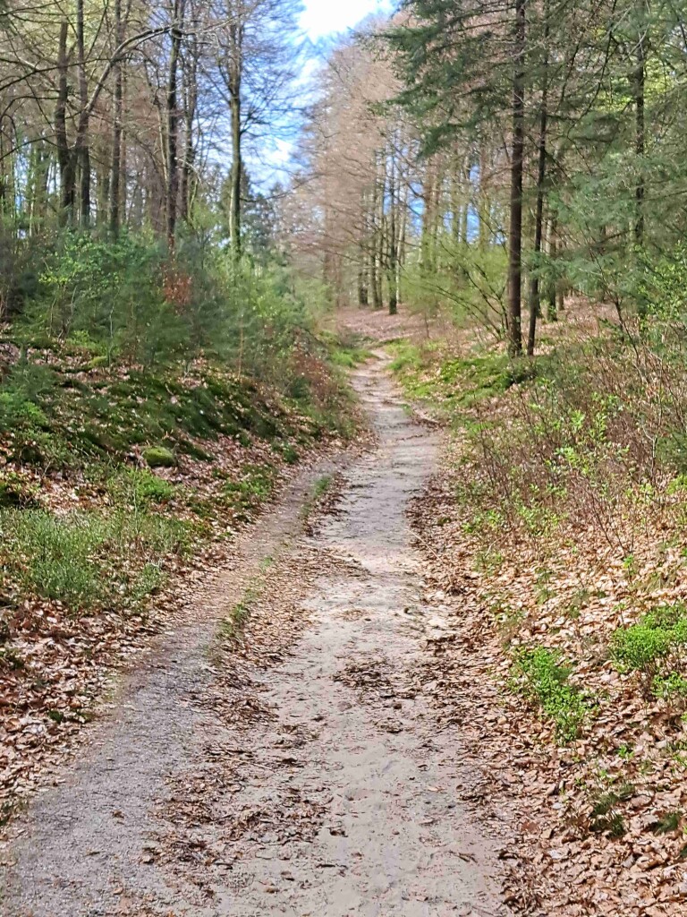 Wandelen rond Kasteel Amerongen
