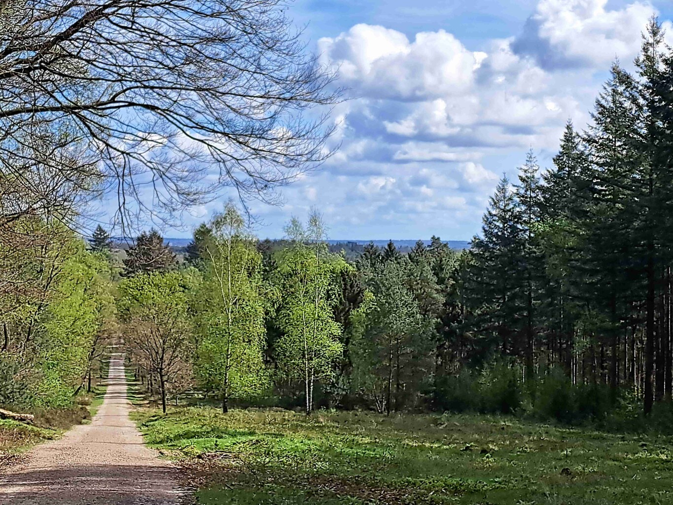 Wandelen rond Kasteel Amerongen
