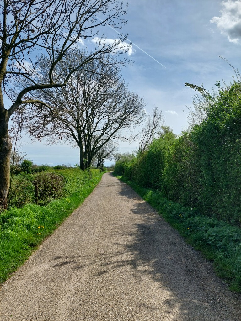 Maas- en Peelliniepad