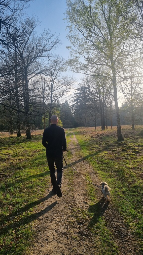 Schoonoord - Papeloze Kerk · Cultuurpad Coevorden etappe 12