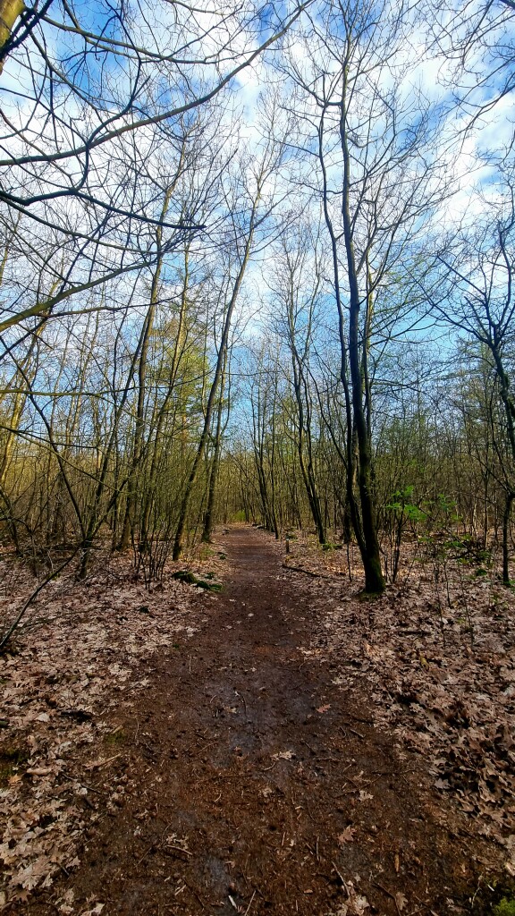 Schoonoord - Papeloze Kerk · Cultuurpad Coevorden etappe 12