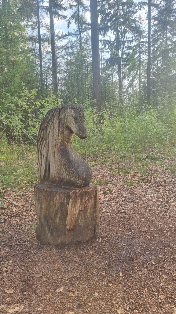 Schoonoord - Papeloze Kerk · Cultuurpad Coevorden etappe 12