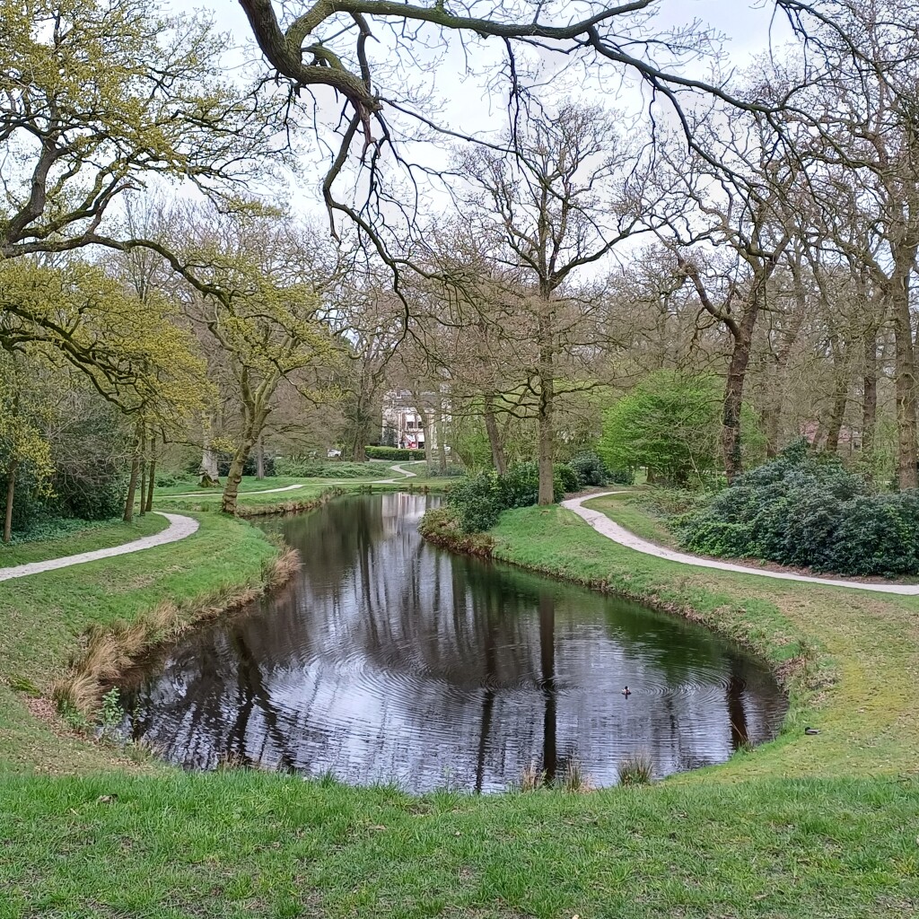 Adel in De Trynwâlden