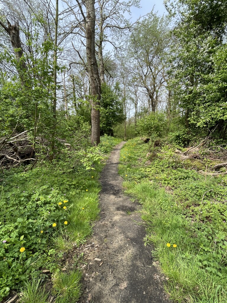 De beschutte ronde (duinroute van PWN)