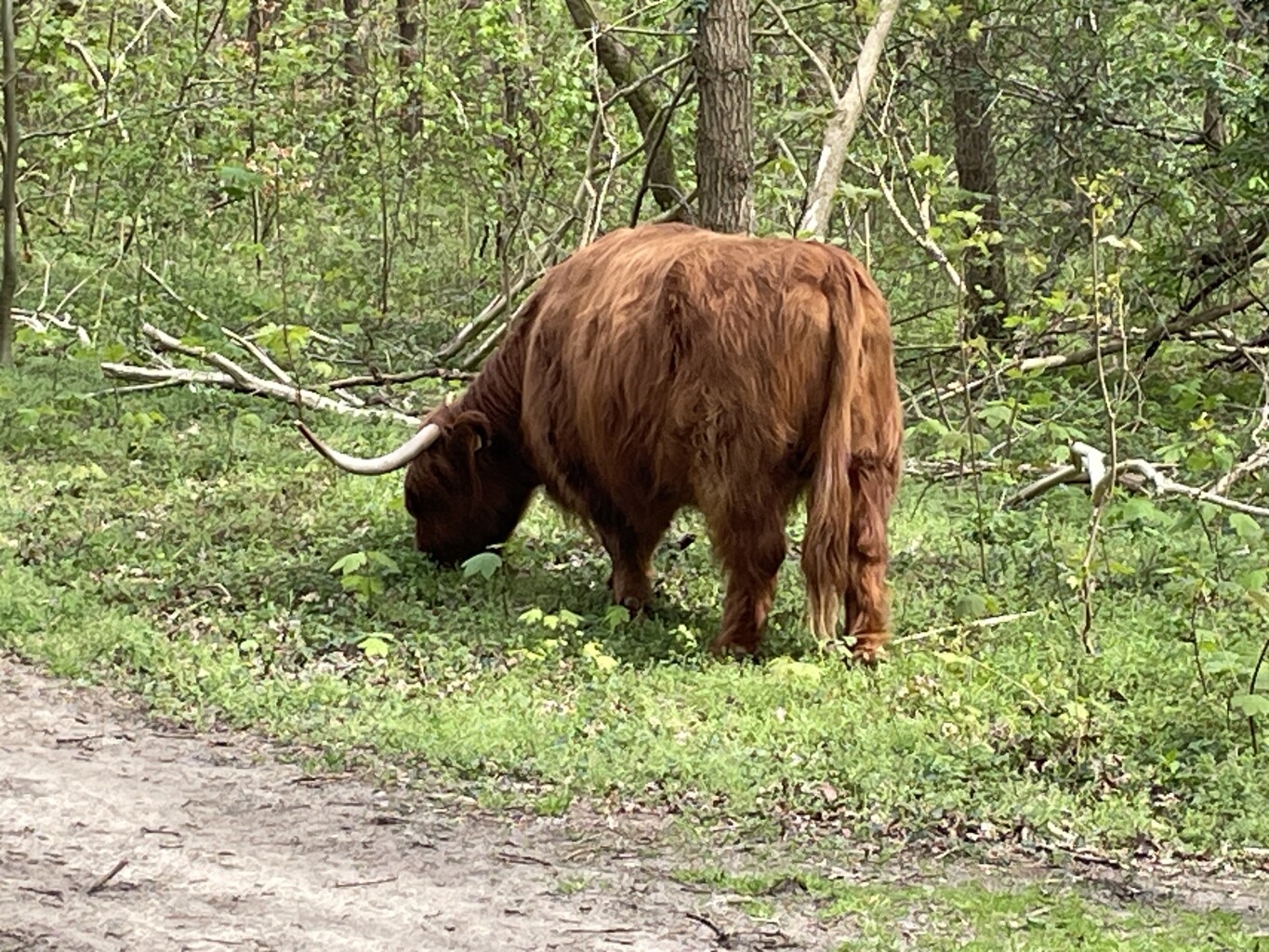 De beschutte ronde (duinroute van PWN)