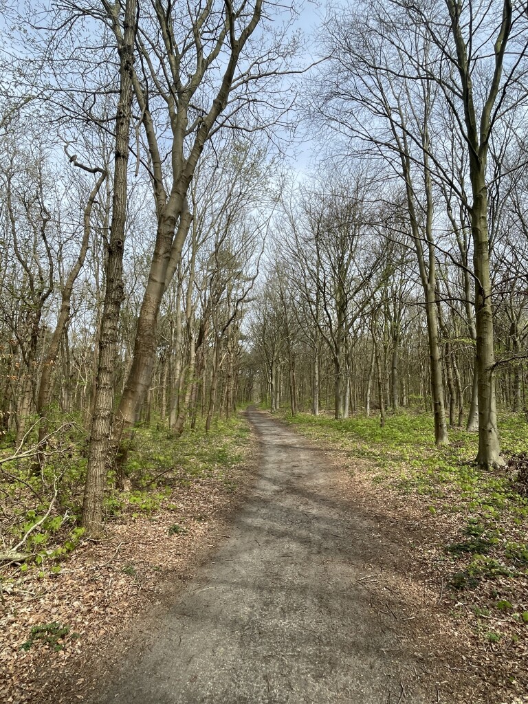 De beschutte ronde (duinroute van PWN)