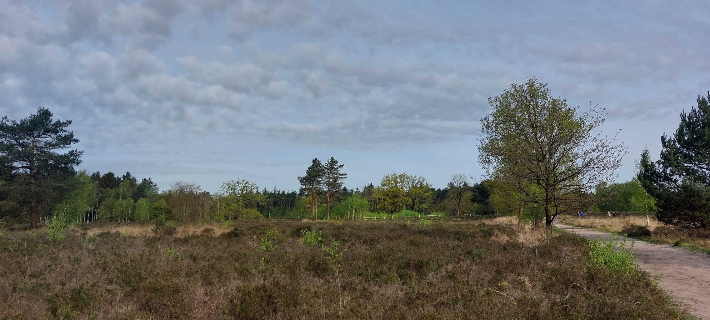 Renswoude - Woudenberg · Utrechtpad etappe 6