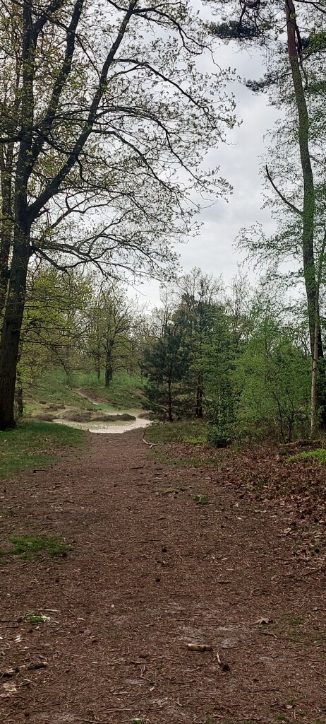 Renswoude - Woudenberg · Utrechtpad etappe 6