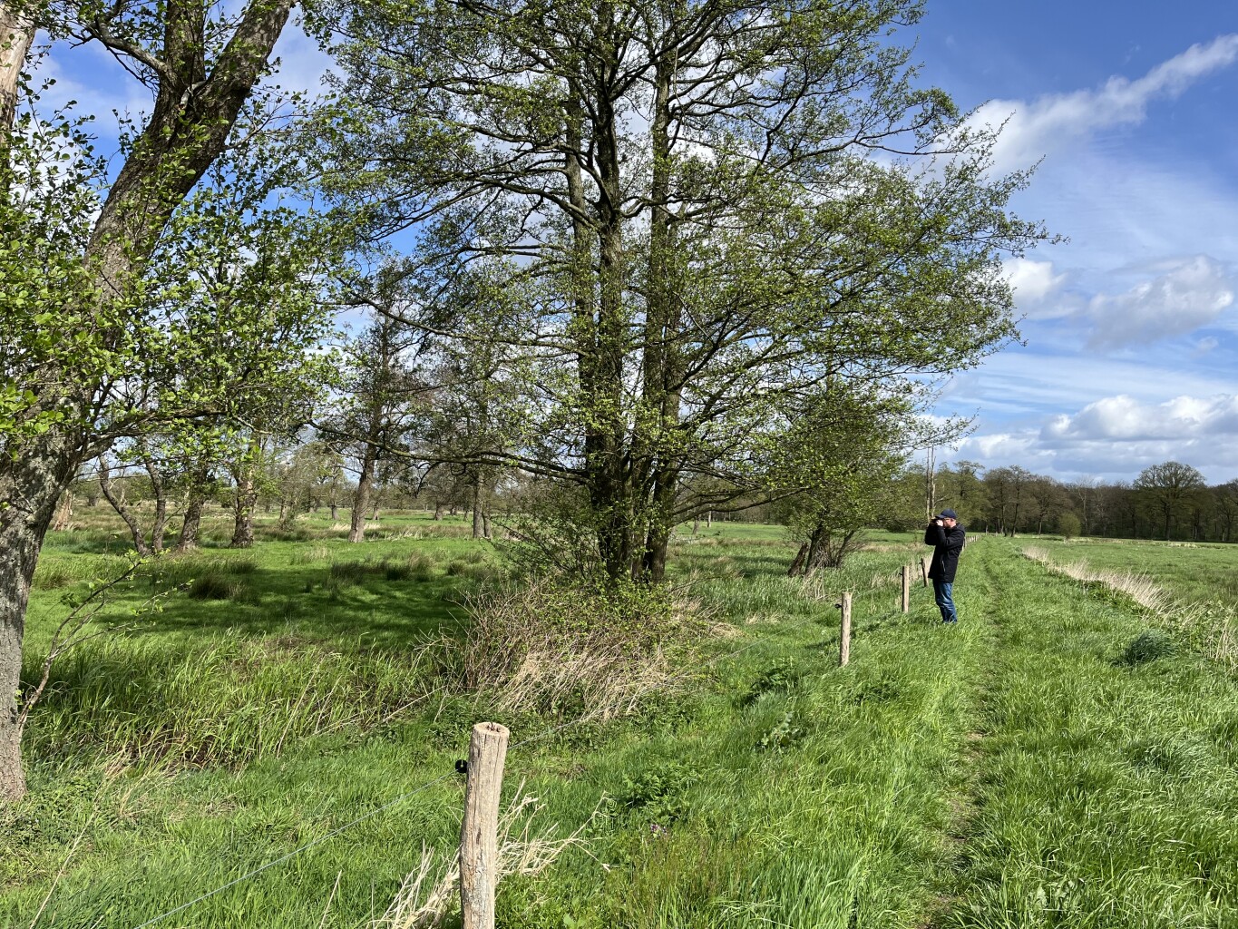 Zwinderen - Geesbrug · Cultuurpad Coevorden etappe 1