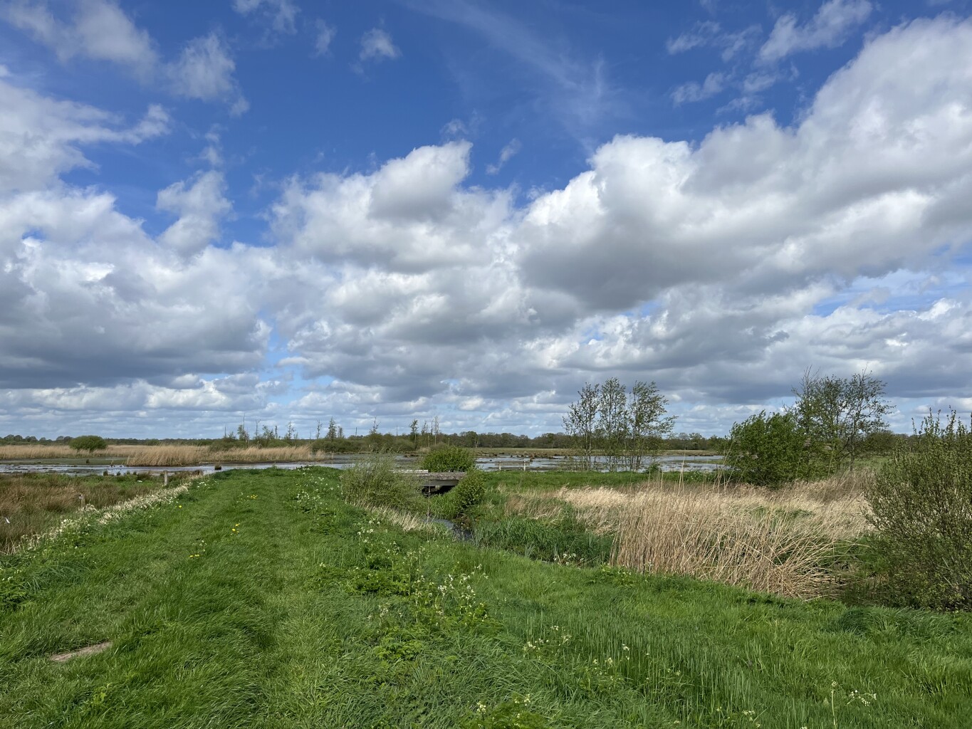 Zwinderen - Geesbrug · Cultuurpad Coevorden etappe 1