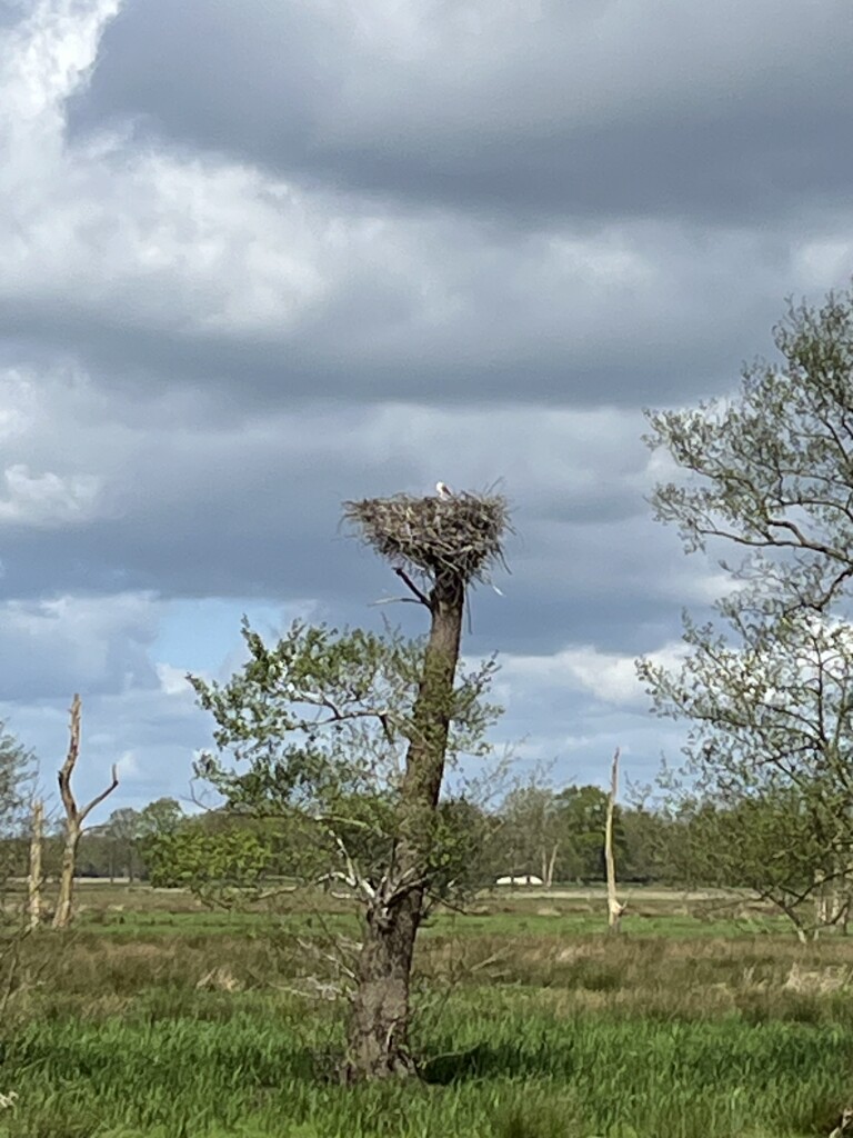 Zwinderen - Geesbrug · Cultuurpad Coevorden etappe 1