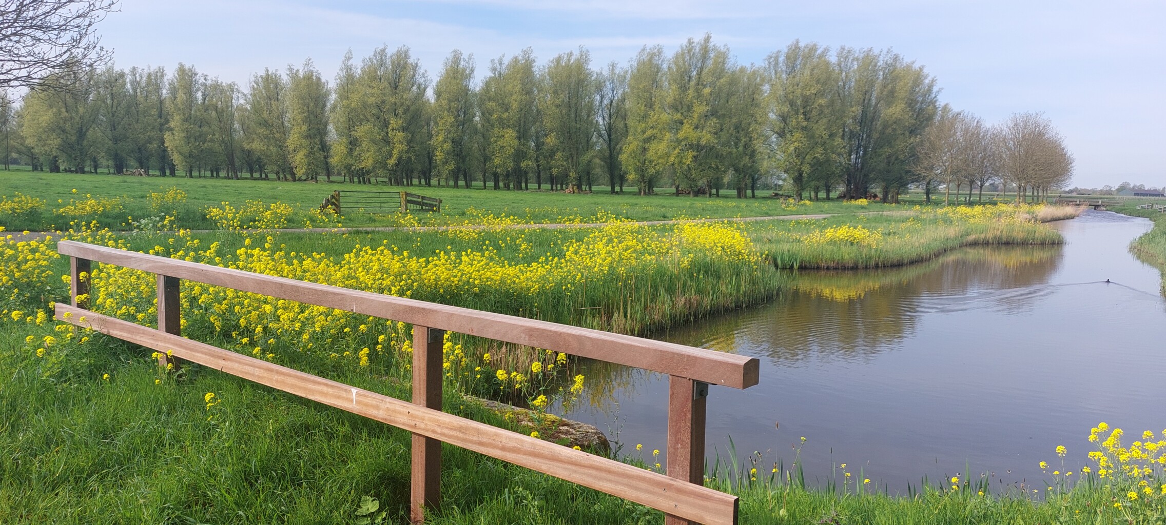 Tussen Luistenboel en Zouweboezem