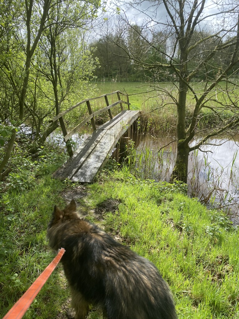 Gluur'n bi'j de Buur'n