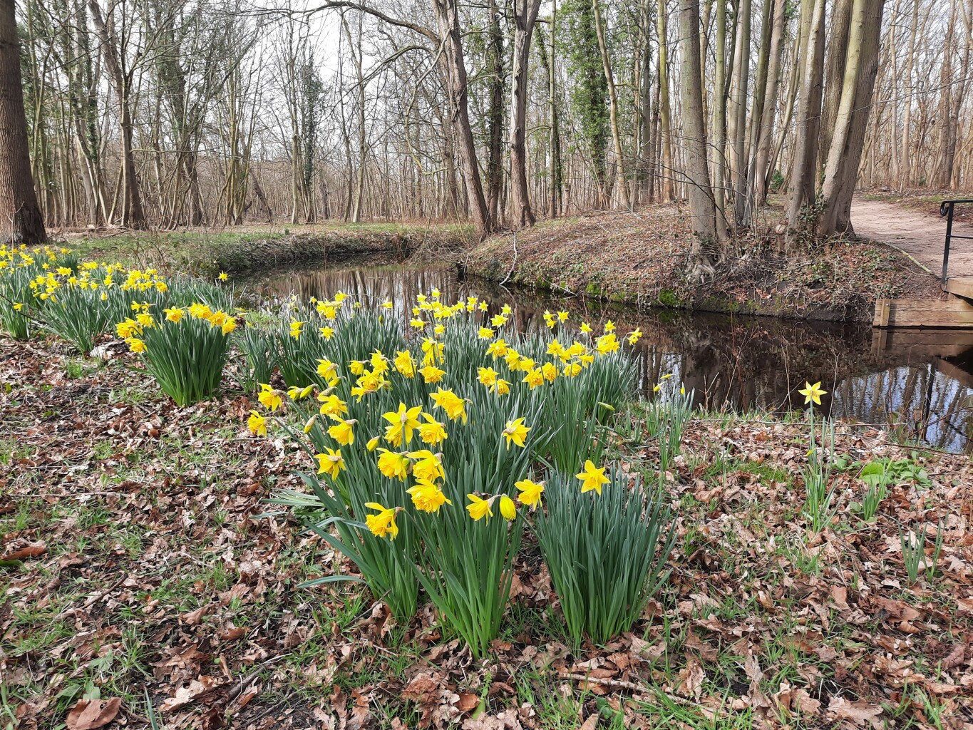 Wandelroute Manteling blauw
