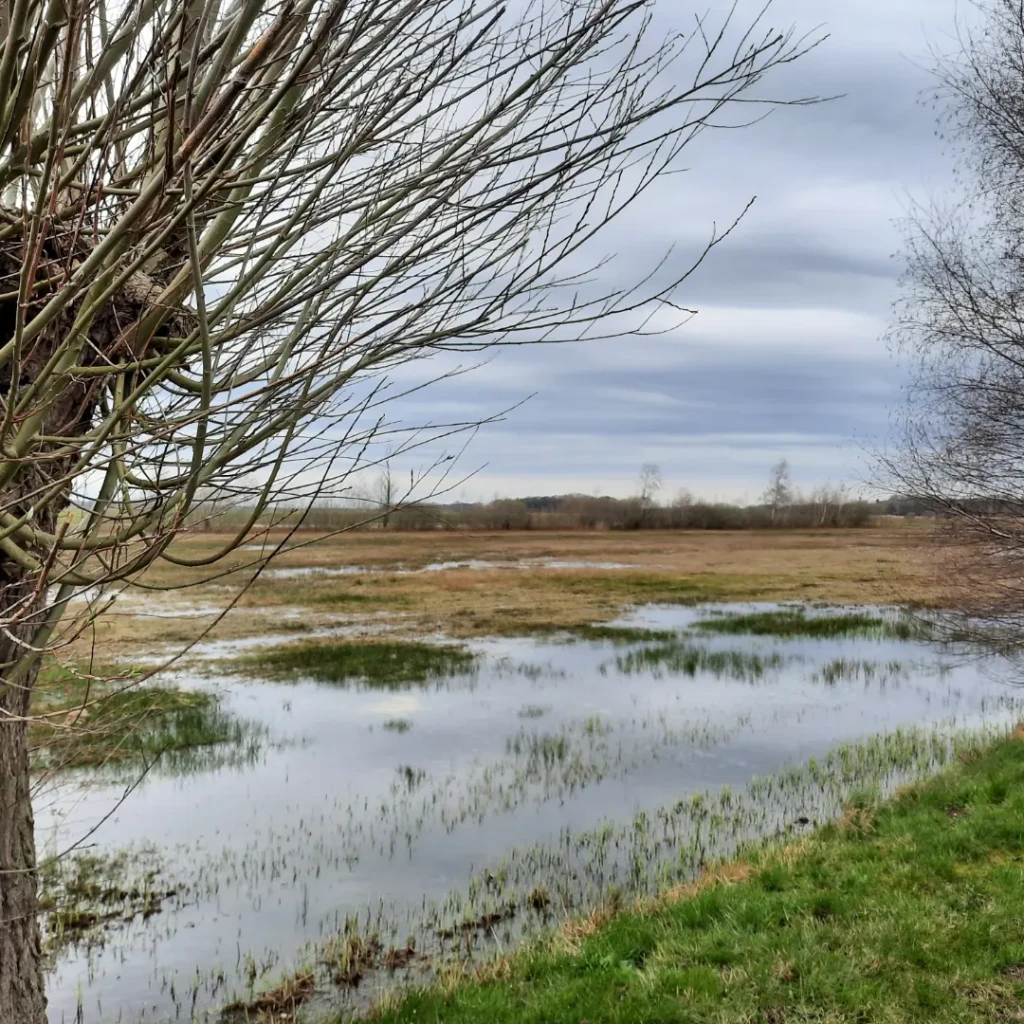 Boswachterspad Bruggenroute Moerputten