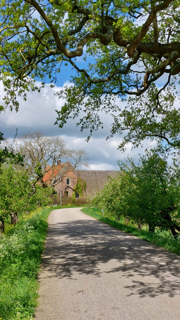 Station Geldermalsen - Station Beesd · Betuwepad etappe 3