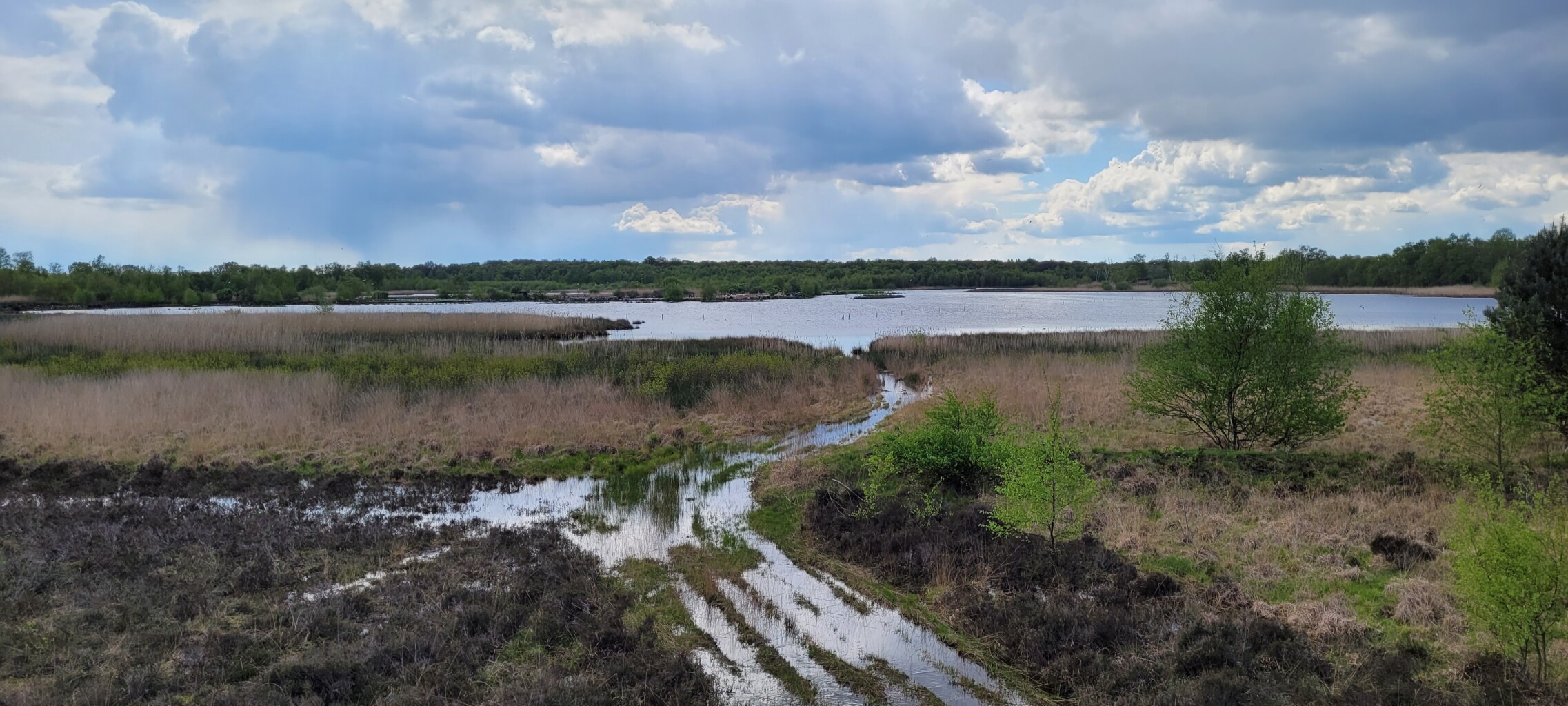 Zwillbrocker Vennroute