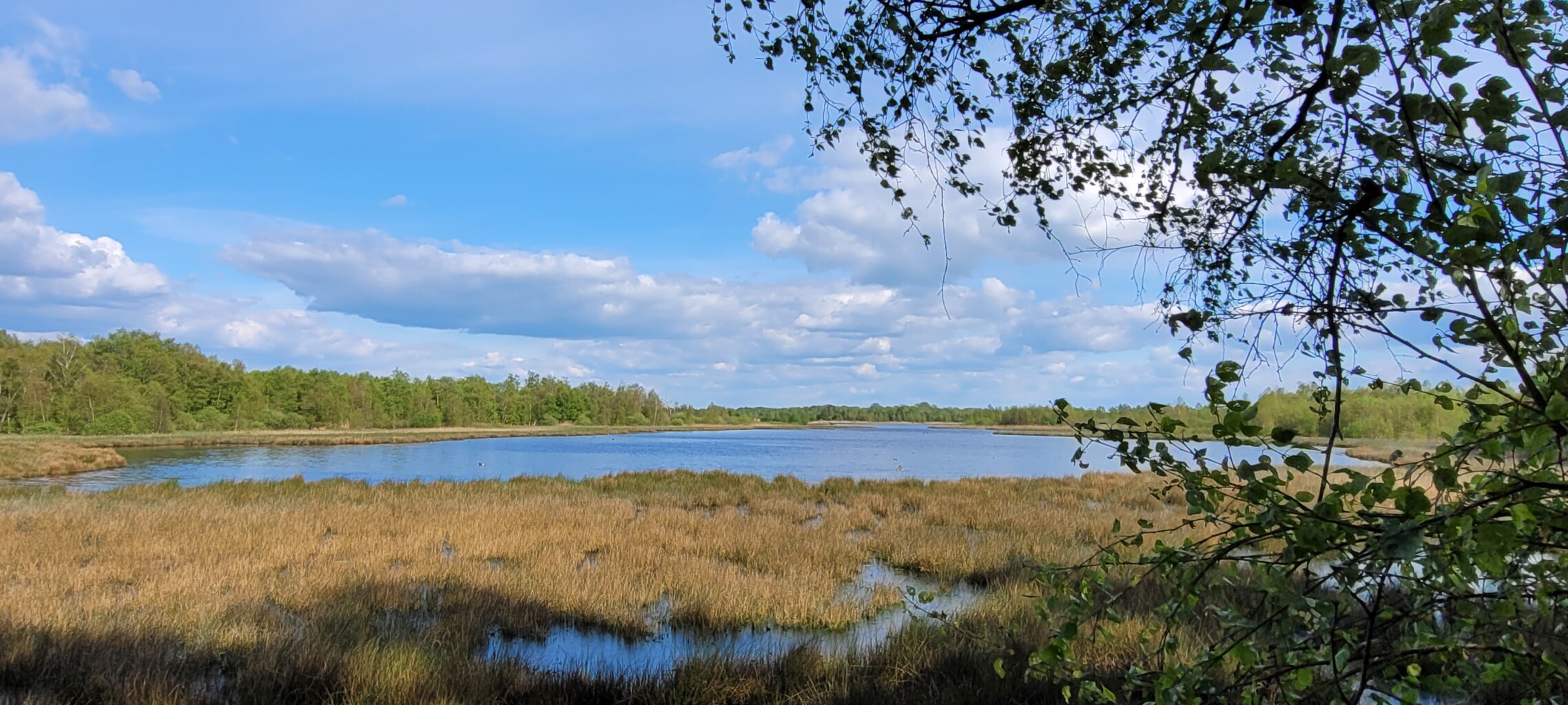 Zwillbrocker Vennroute