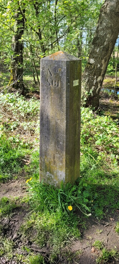 Zwillbrocker Vennroute