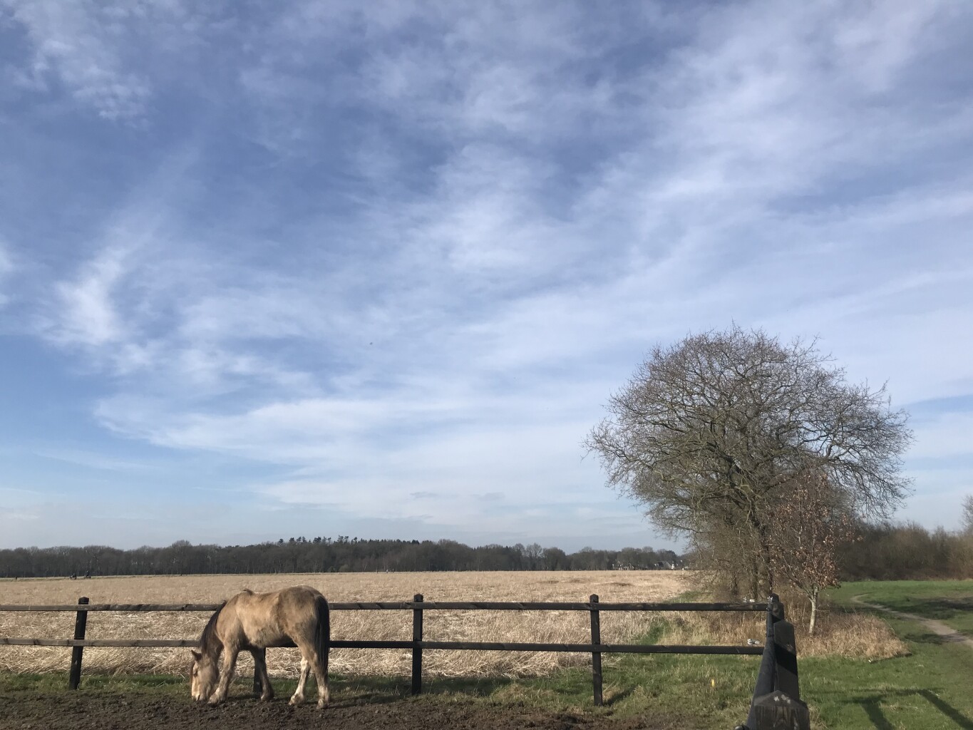Blauwe paaltjesroute Norg | richting Westervelde