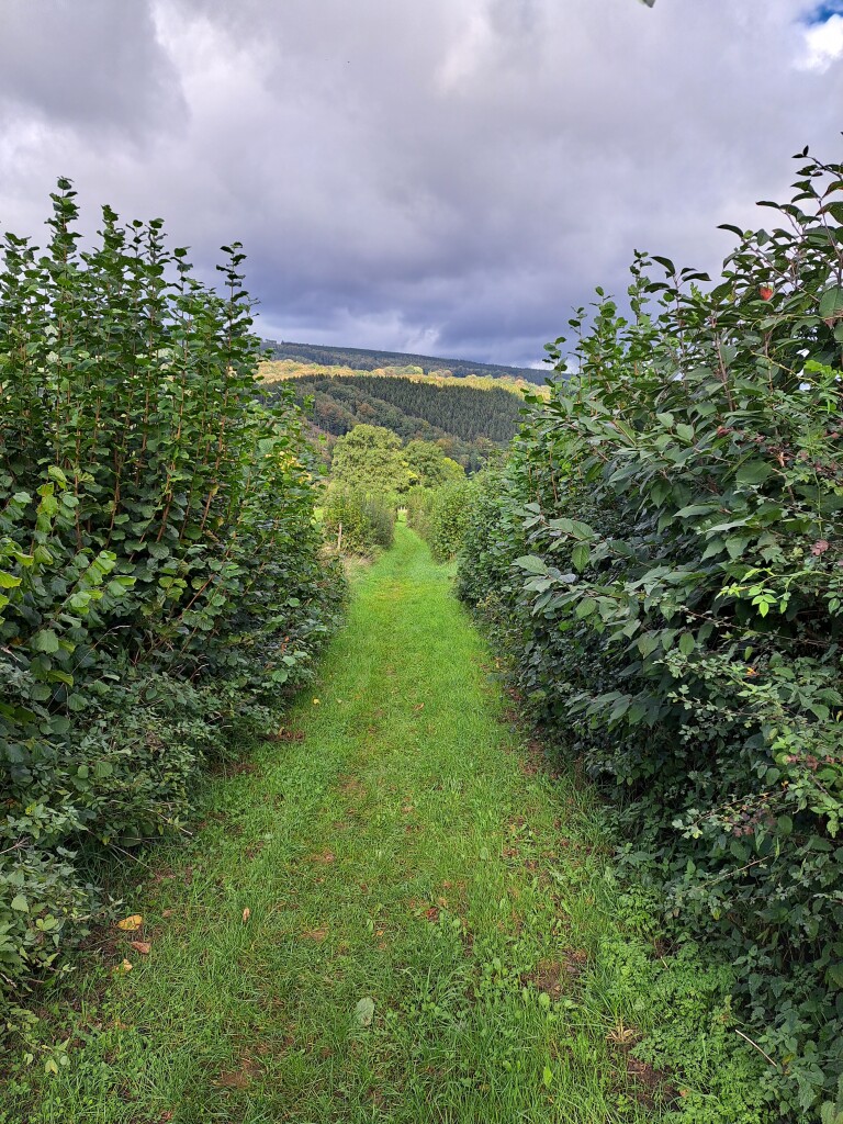 Spa - Stavelot · GR5 etappe 20