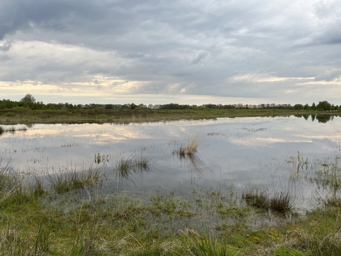 Wandelroute Het Scharreveld