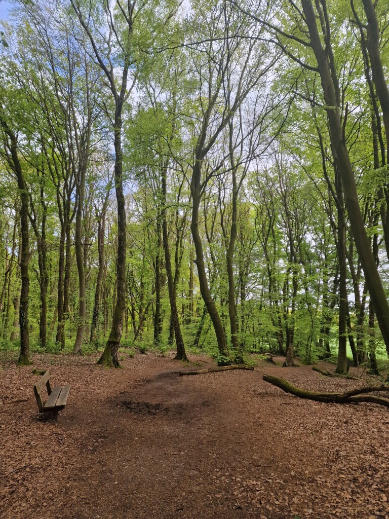 Beek - Kranenburg (D) · Walk of Wisdom etappe 2