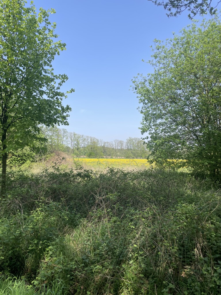 Lage Mierde naar Hilvarenbeek - "Heerlijckheit" · NederRandpad etappe 44